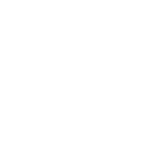 1770843826397_Logo-blanc-300x290